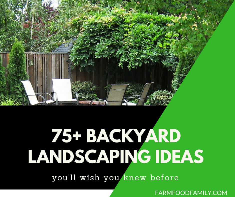 Backyard Landscaping Ideas