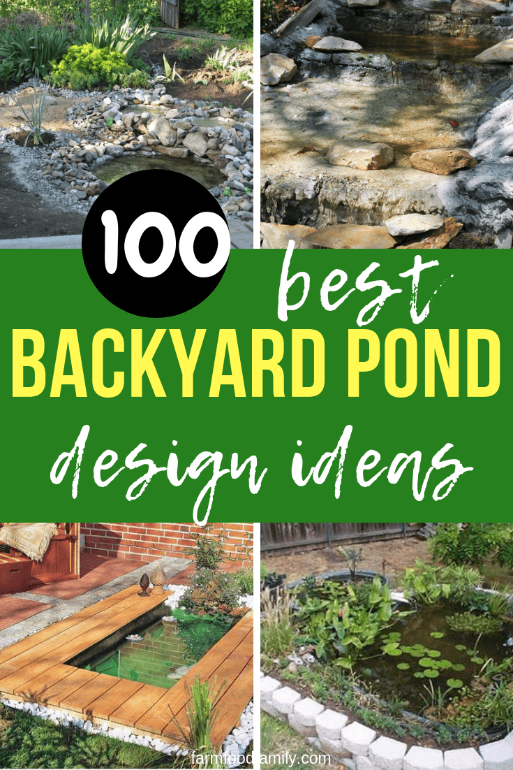 best backyard pond ideas min