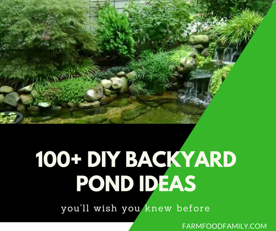 100+ DIY Backyard Pond Ideas