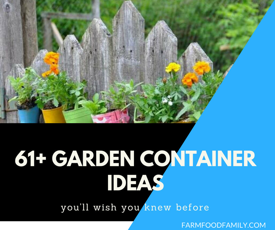 Garden Container Ideas