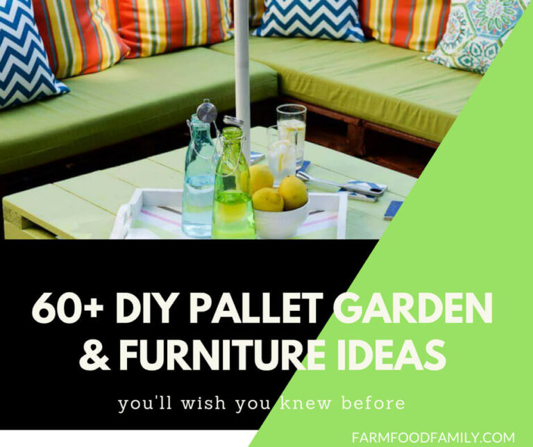 DIY Pallet Garden and Furniture Ideas