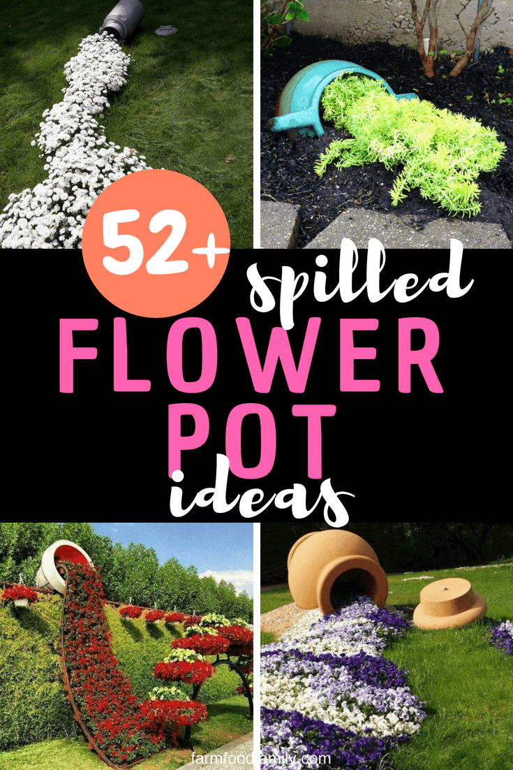 Looking for spilled flower pot idea? Checkout these amazing DIY spilled flower pot ideas to inspire yourself. The art of gardening. Try yourself at your home and brings a smile to anyone.
