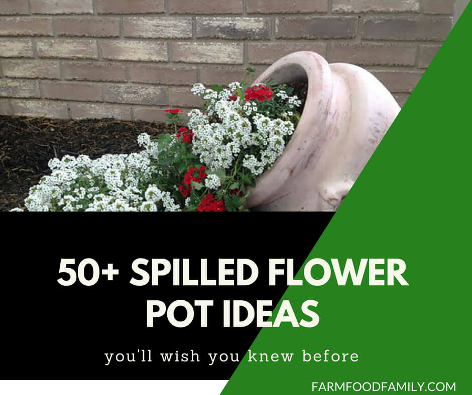 Spilled Flower pot ideas