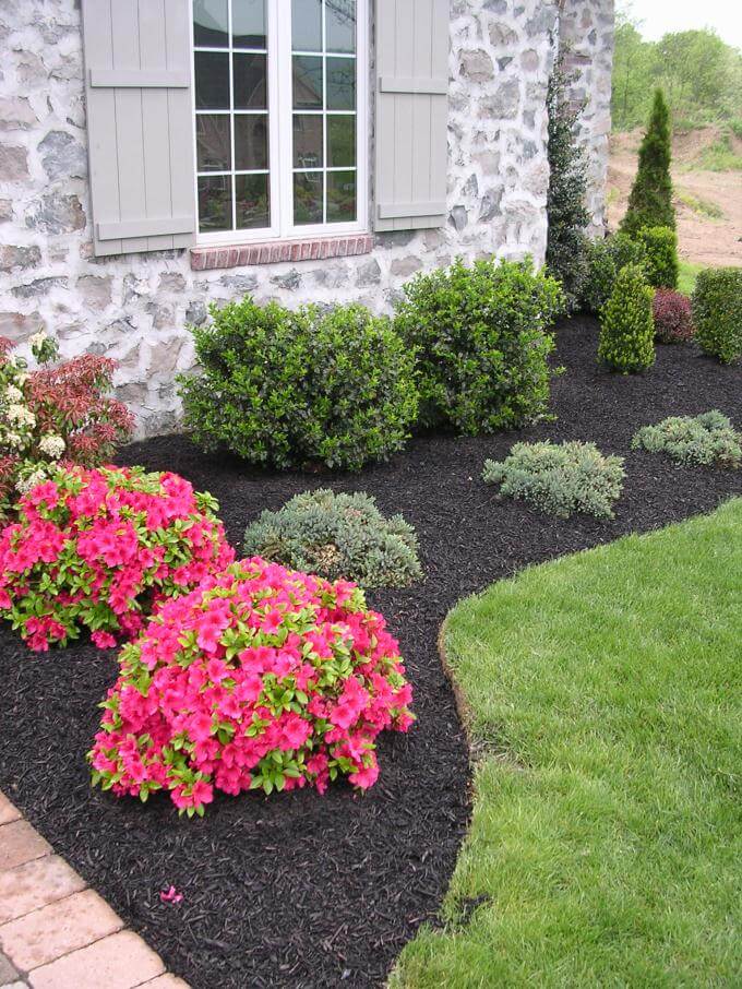 Low Maintenance Evergreen Border with a Pop of Color