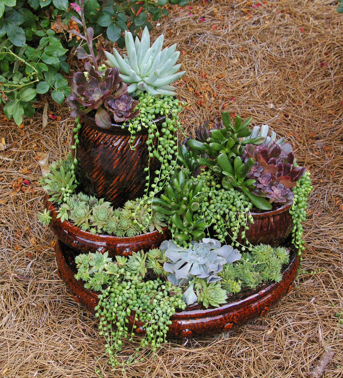 DIY Flower Towers Ideas: Picture Perfect Mini Succulent Tower