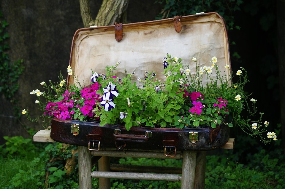 Flower Bed Ideas: Vintage Suitcase Flower Planter Idea