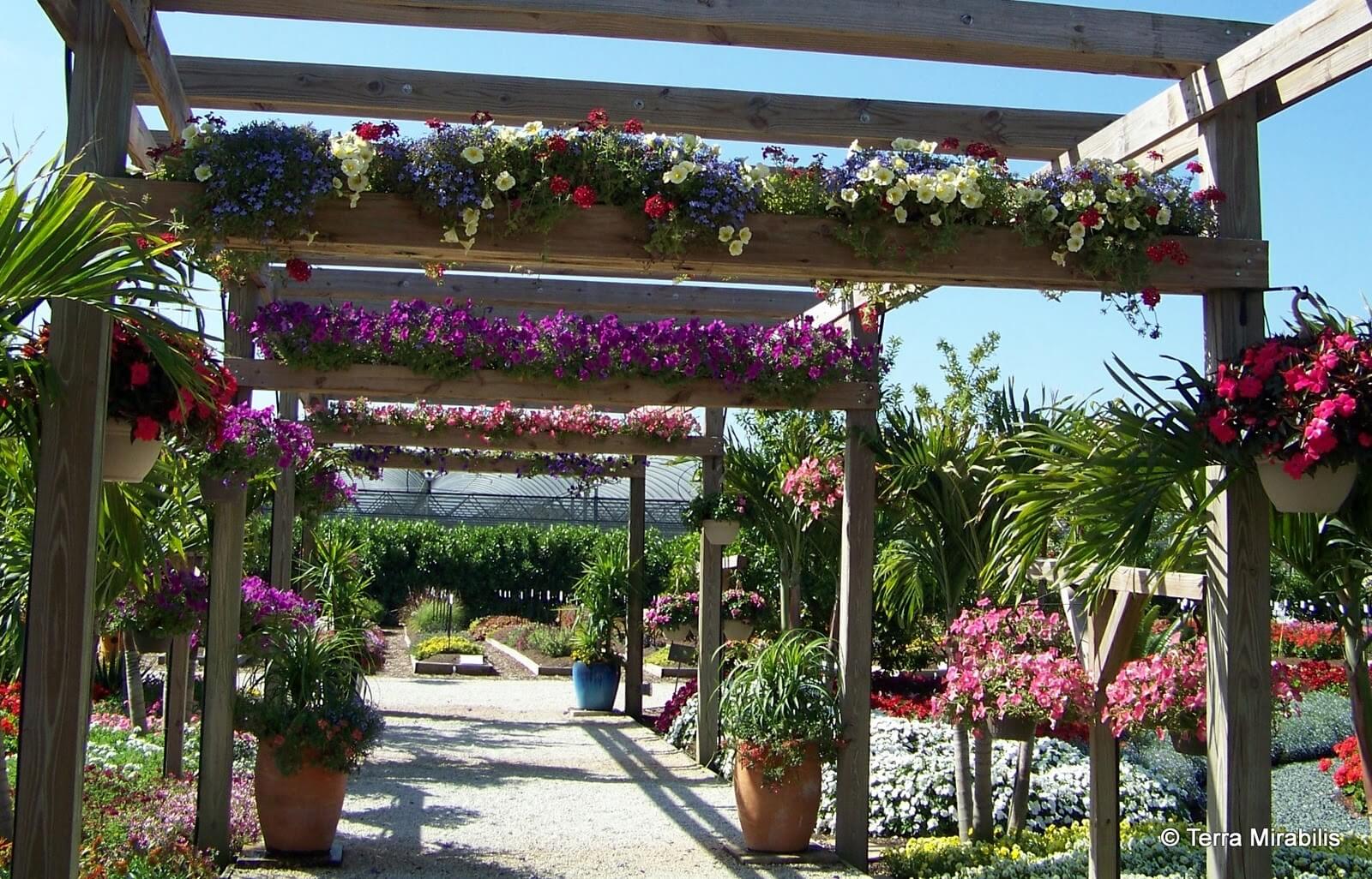 DIY Pergola Ideas: Botanical Promenade Pergola With Planter Implements