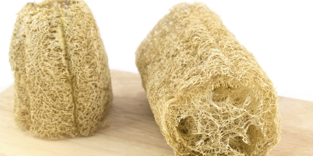 Make a Loofah Shower Sponge: Loofah, or luﬀa, is a climbing vegetable from the cucumber family, popular in Vietnamese and Chinese cuisine