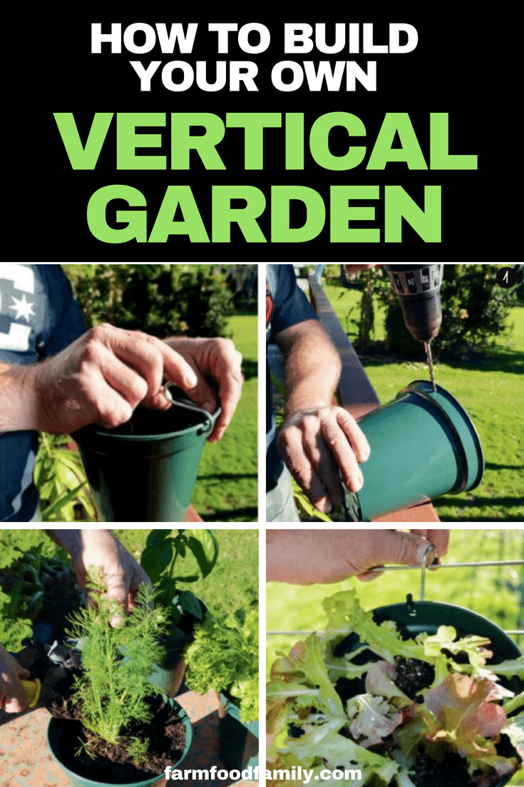 Growing vertical edibles allows you to produce more for less. Because of the nature of vertical gardening you can cultivate bigger yields with a smaller footprint. With a vertical garden it’s possible to take an uninspiring wall and turn it into a productive green space. #verticalgarden #gardeningtips #farmfoodfamily