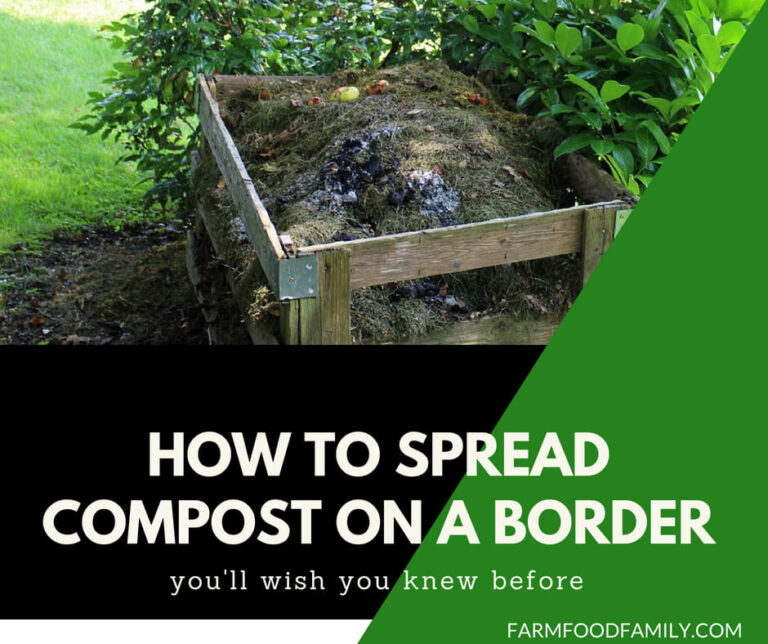 How to spread compost on a border