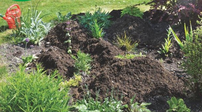 How to spread compost on a border