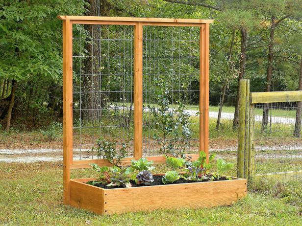 Vertical Garden Trellis: Make a rustic trellis from stems or canes of a variety of plants.