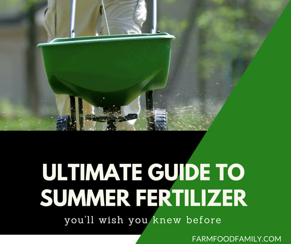 Ultimate guide to summer fertilizer