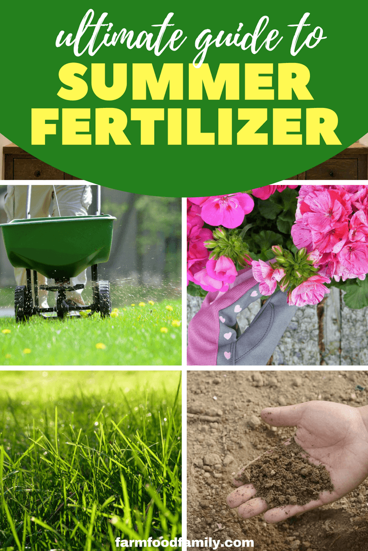 Even if your garden soil is good and balanced, there's no doubting the growth-enhancing effects of fertilizers and the extra vitality they bring to flower and foliage plants, edible crops and lawn areas. #gardentips #garden #farmfoodfamily