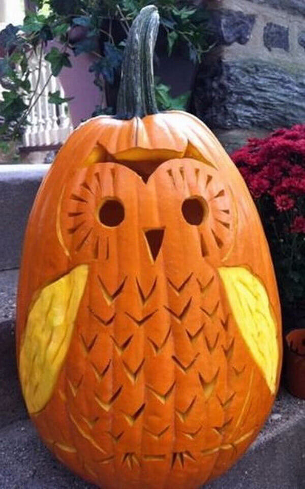 DIY Pumpkin Carving Ideas: What a Hoot!