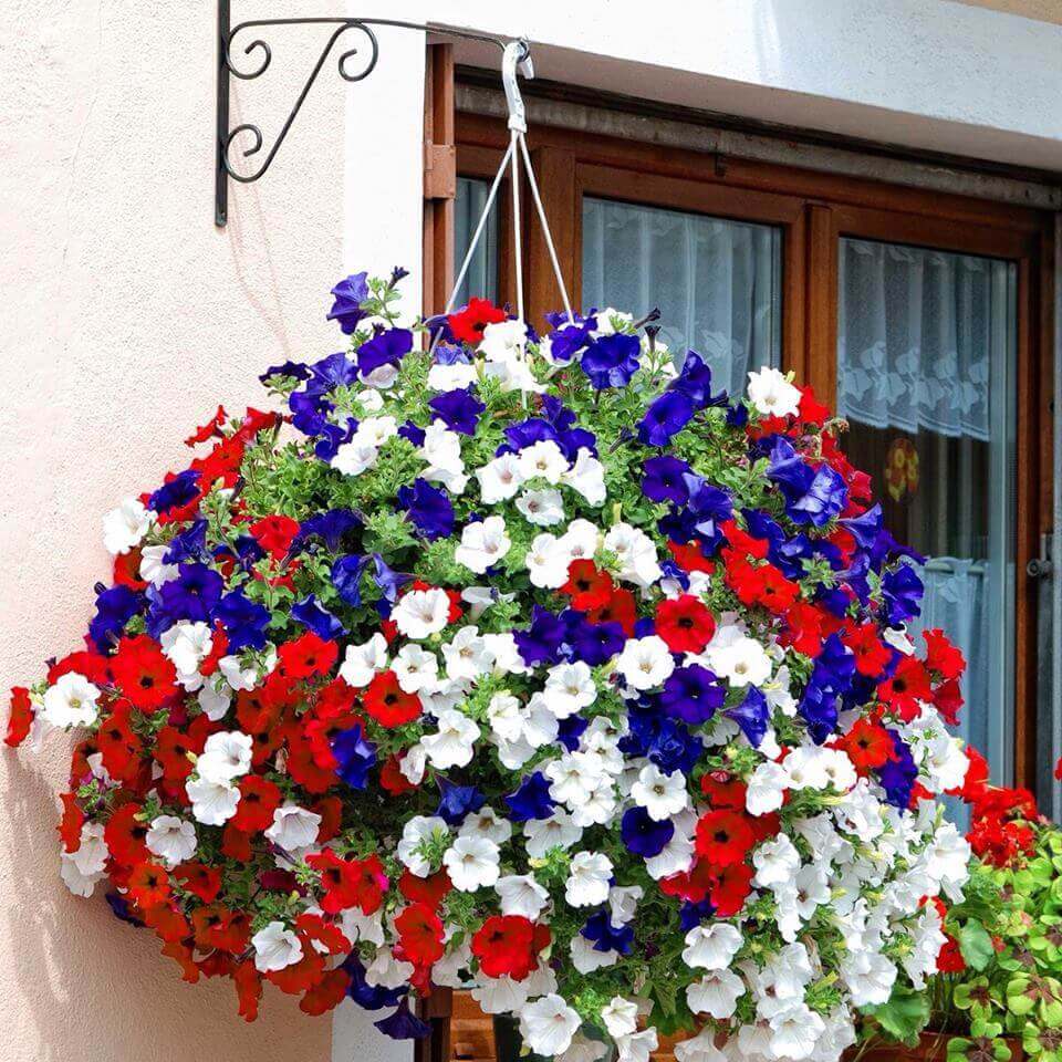 Fourth of July Themed Hanging Basket | DIY Outdoor Hanging Planter Ideas | Plant Pot Design Ideas