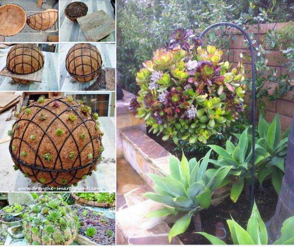 DIY Succulent Orb Hanging Planter | DIY Outdoor Hanging Planter Ideas | Plant Pot Design Ideas