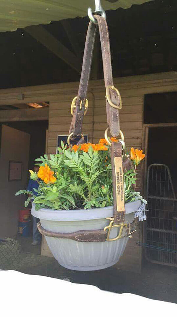 Recycled Horse Bridle Hanging Pot Holder | DIY Outdoor Hanging Planter Ideas | Plant Pot Design Ideas