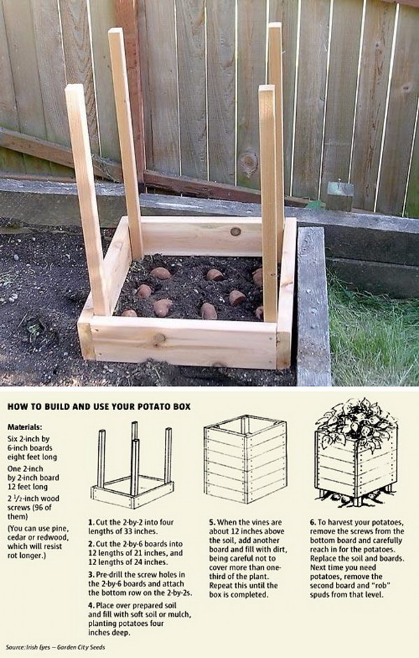 Grow 100 lbs. Of Potatoes In 4 Square Feet | Clever Gardening Ideas on Low Budget