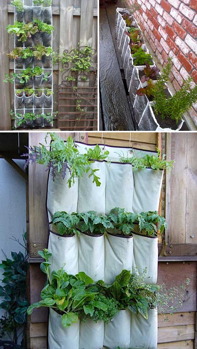 Repurpose a shoe organizer as a planter | Clever Gardening Ideas on Low Budget