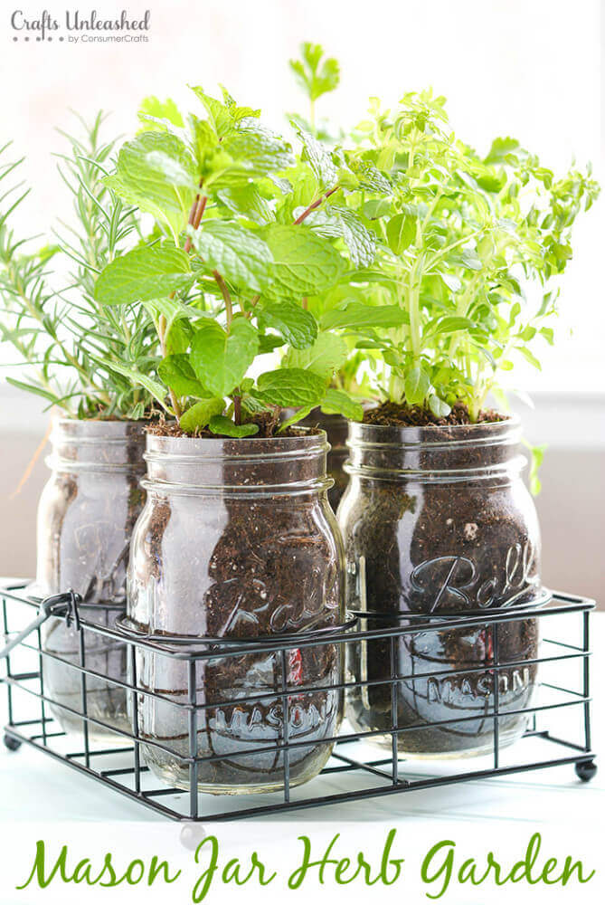 Plant Herbs in Mason Jars | Beautiful DIY Mason Jar Flower Arrangements Ideas