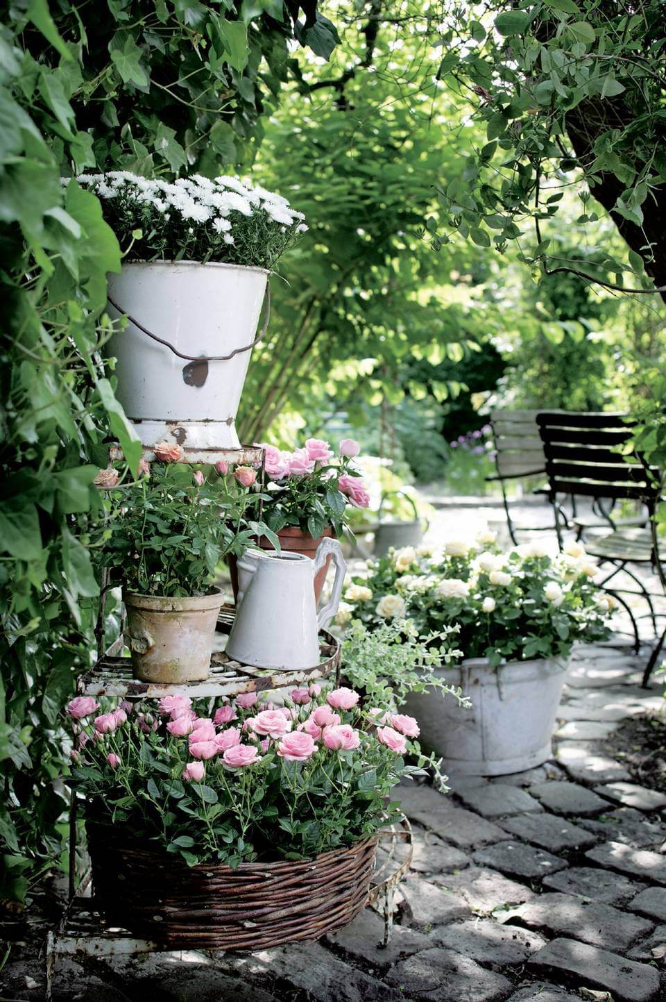 Tiered Potted Roses in Planters