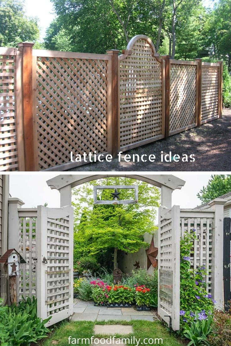 Best lattice fence ideas and designs