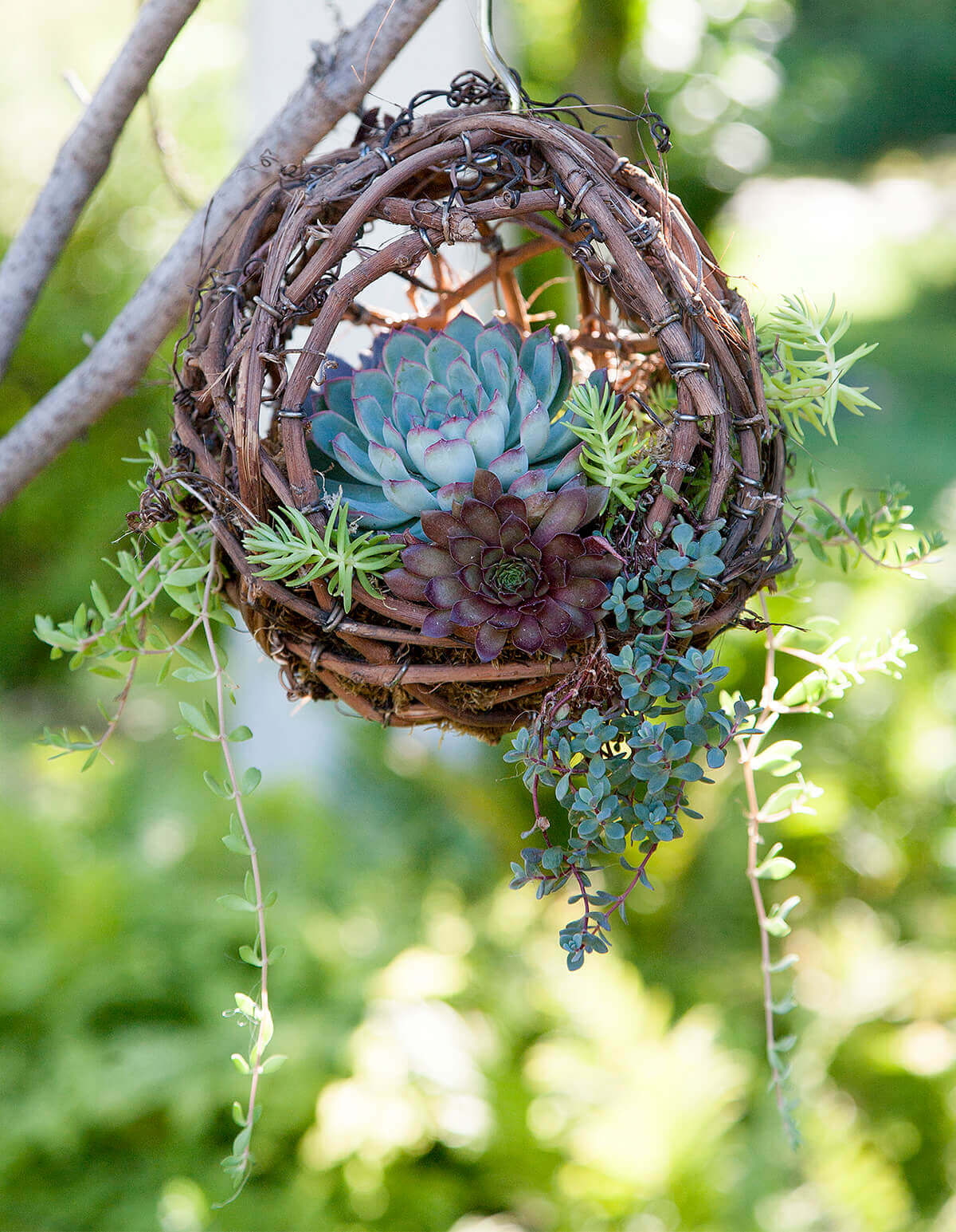 Hanging Grapevine Bird’s Nest Succulent Planter | DIY Outdoor Hanging Planter Ideas | Plant Pot Design Ideas
