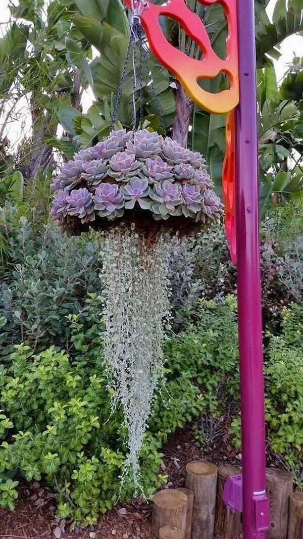Creative “Jellyfish” Succulent Hanging Basket | DIY Outdoor Hanging Planter Ideas | Plant Pot Design Ideas