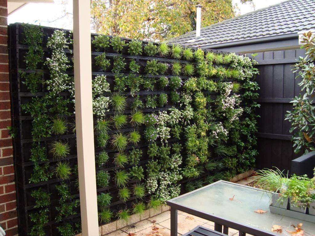 Green Wall Backyard Planter Project
