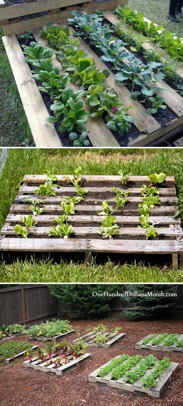 Staple garden cloth on the backside of the pallet fill with dirt and start growing | Clever Gardening Ideas on Low Budget