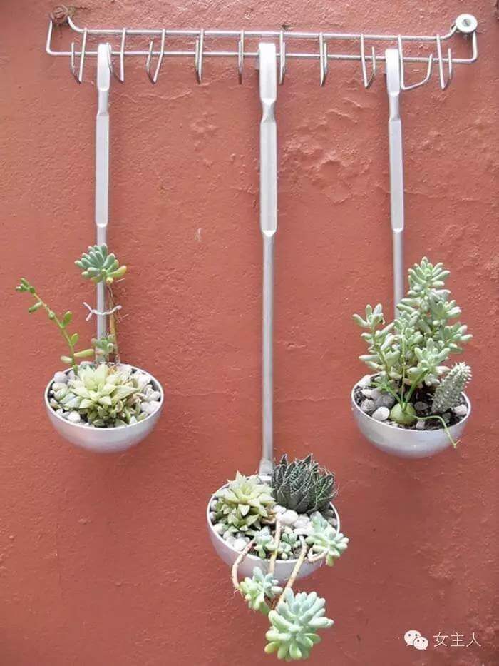 DIY Kitchen Utensil Wall Planter for Succulents | DIY Outdoor Hanging Planter Ideas | Plant Pot Design Ideas
