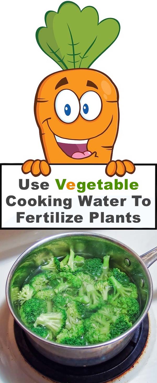 Use cool vegetable cooking water to fertilize your garden or potted plants | Clever Gardening Ideas on Low Budget