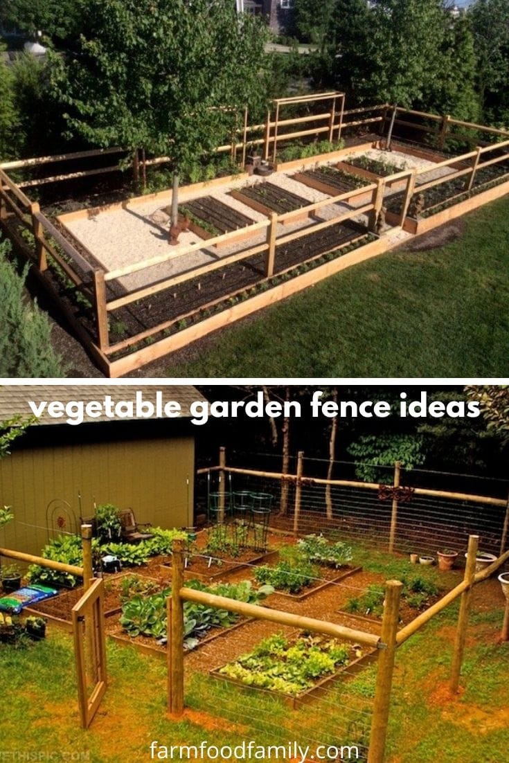 Vegetable garden fence ideas and designs