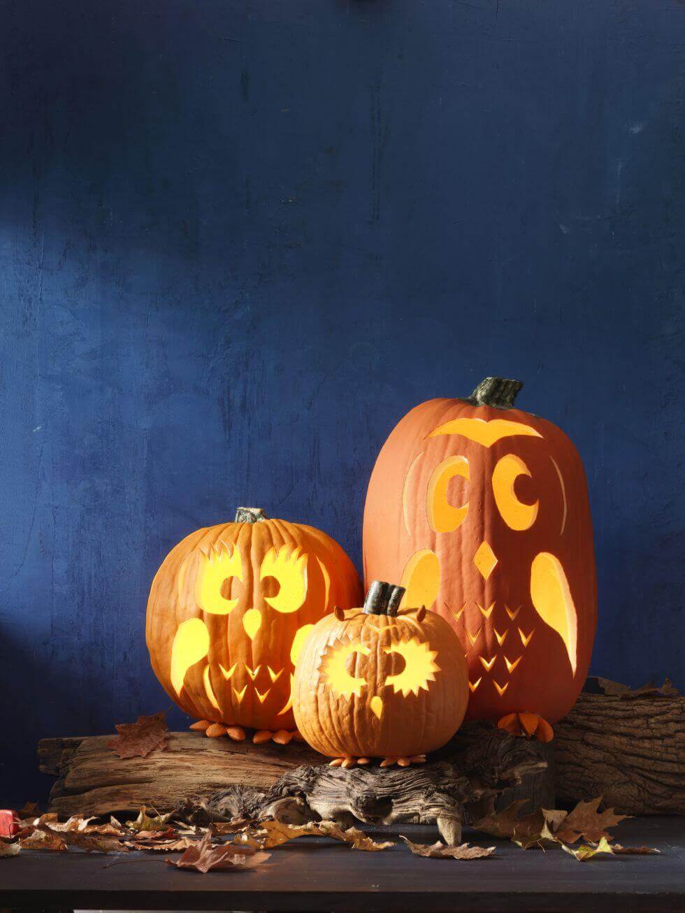DIY Pumpkin Carving Ideas: Hoo Wants Another Owl Pattern