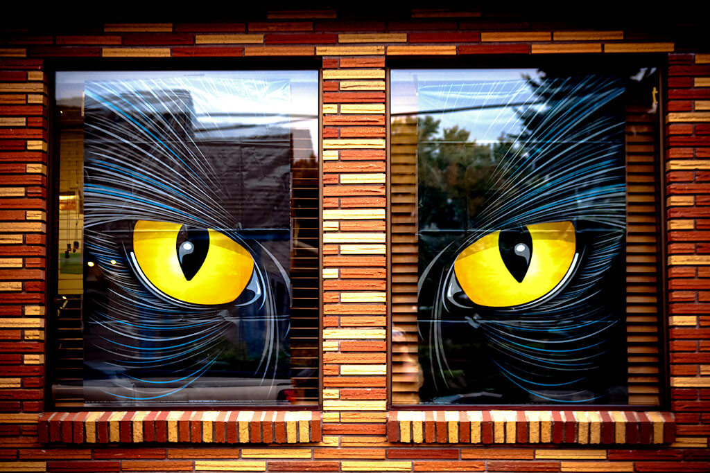 Always Watching | DIY Halloween Window Decoration Ideas