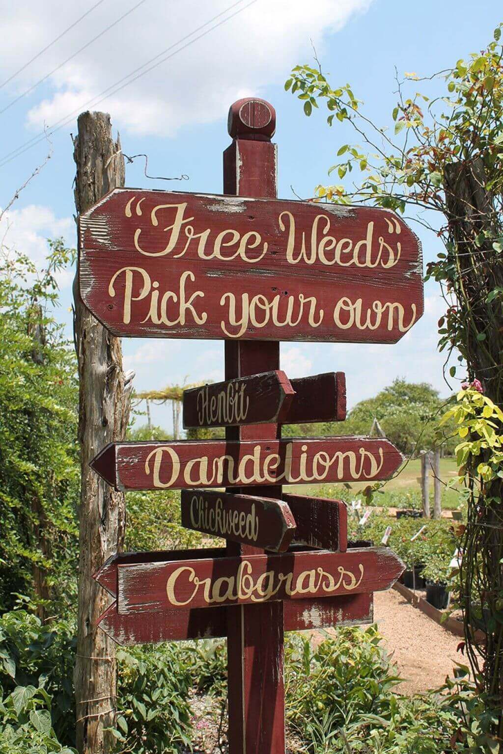 Where in the World are the Weeds? | Funny DIY Garden Sign Ideas