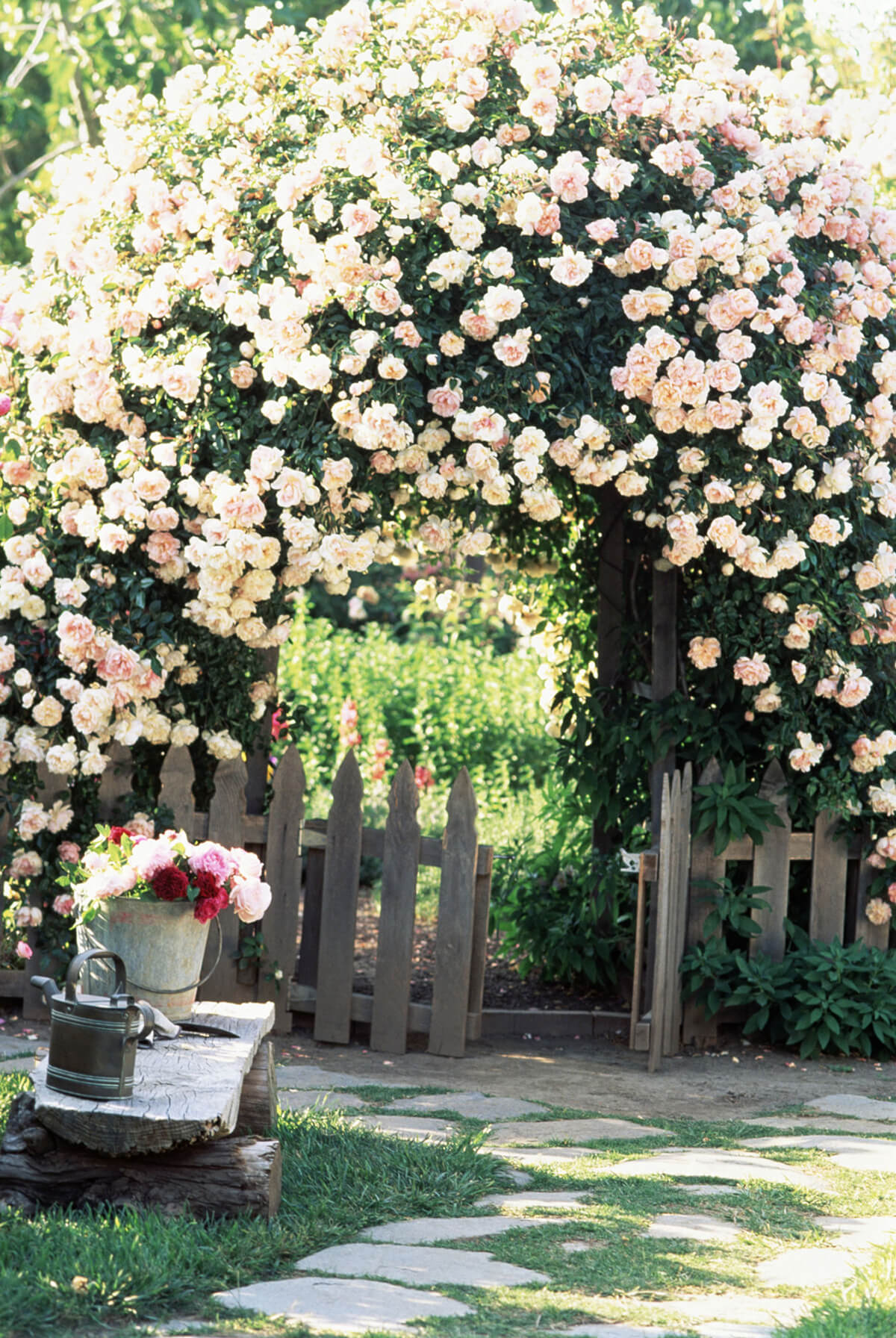 Garden Arch Overflowing with Roses