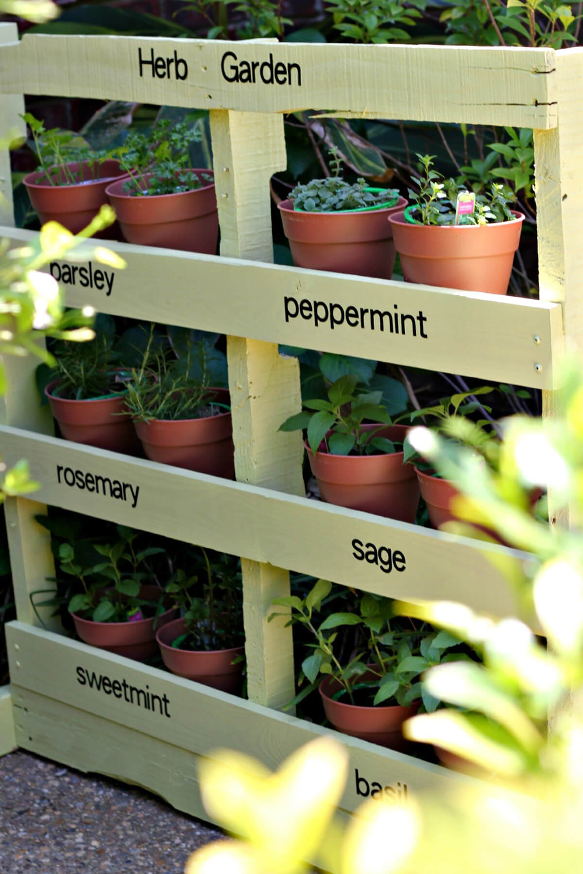 Easy DIY Pallet Herb Garden