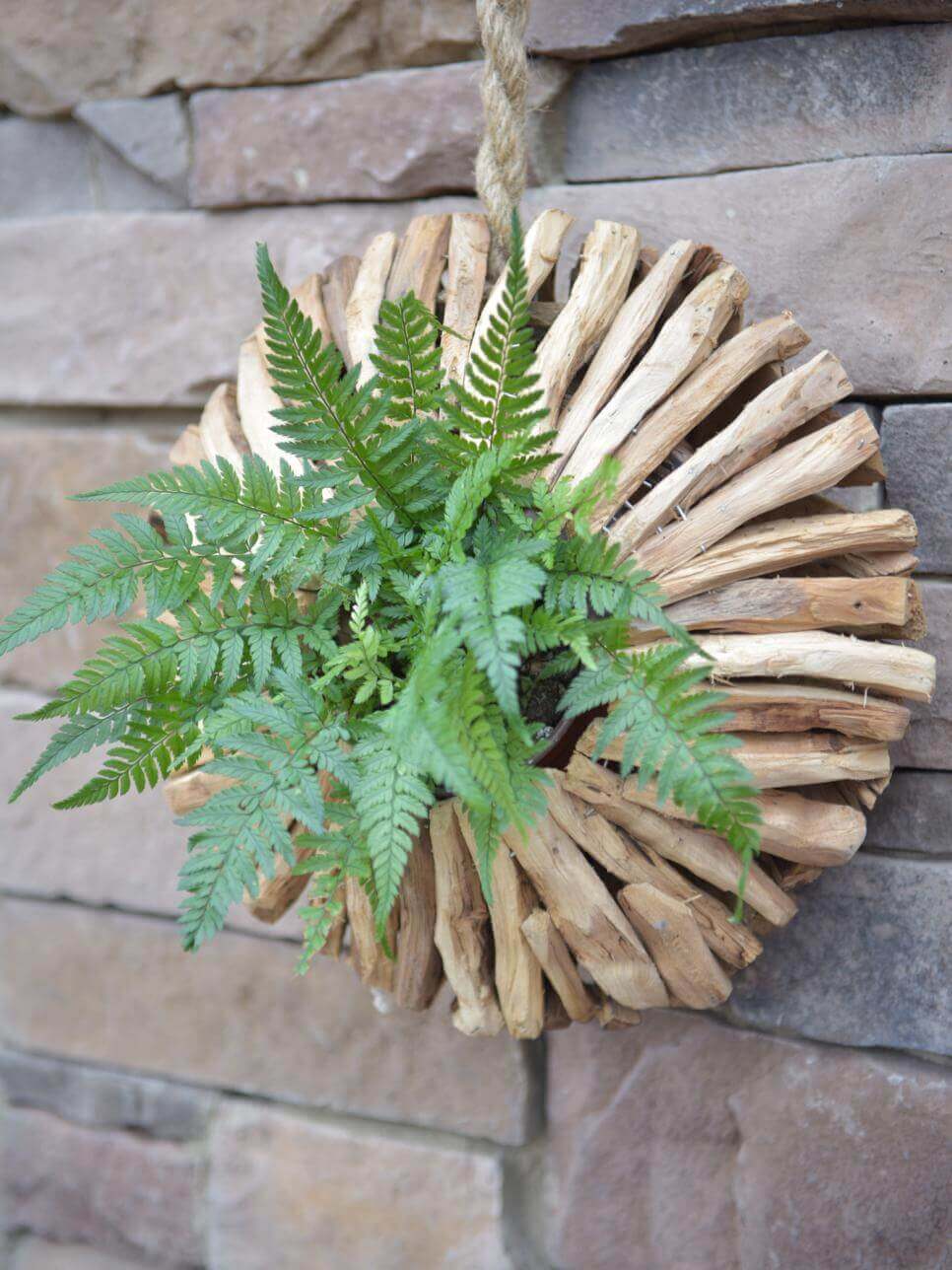 Striking Circular Wooden Fern Planter | DIY Outdoor Hanging Planter Ideas | Plant Pot Design Ideas