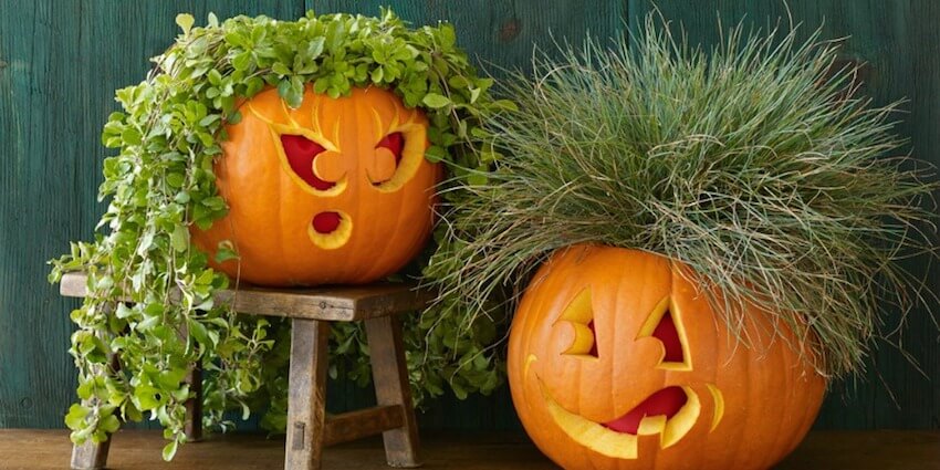 DIY Pumpkin Carving Ideas: Plant It On Me