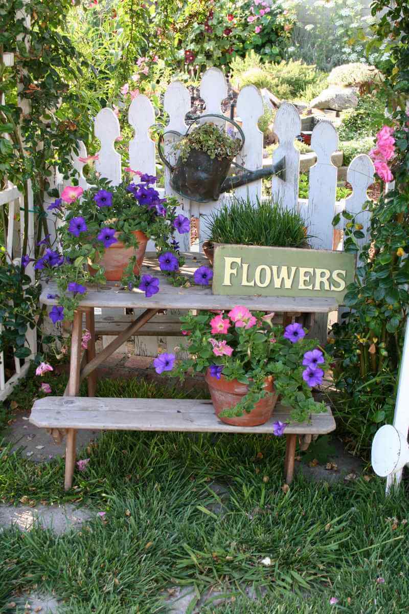 Display with Sign and Potted Flowers