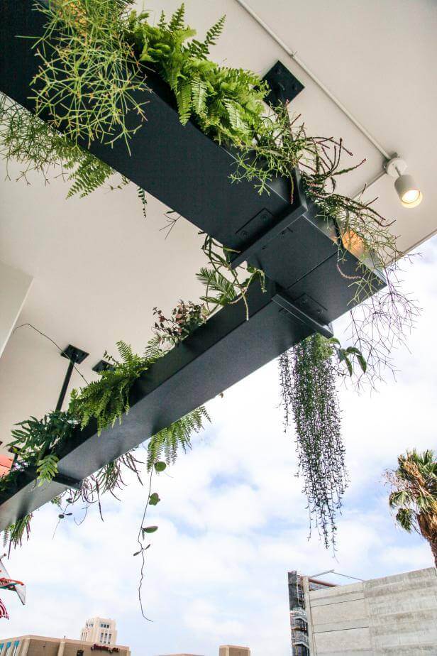Dramatic Urban Outdoor Hanging Garden | DIY Outdoor Hanging Planter Ideas | Plant Pot Design Ideas