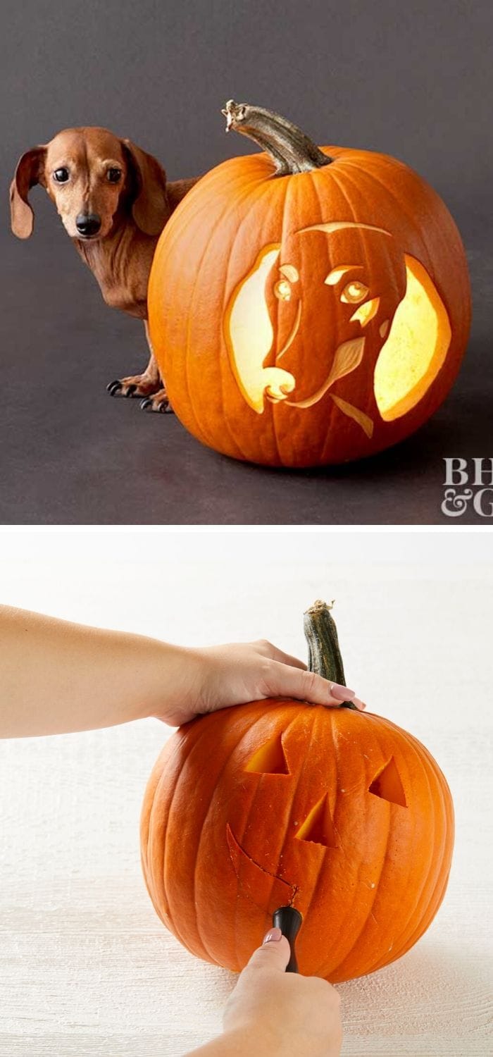 29 pumpkin carving ideas