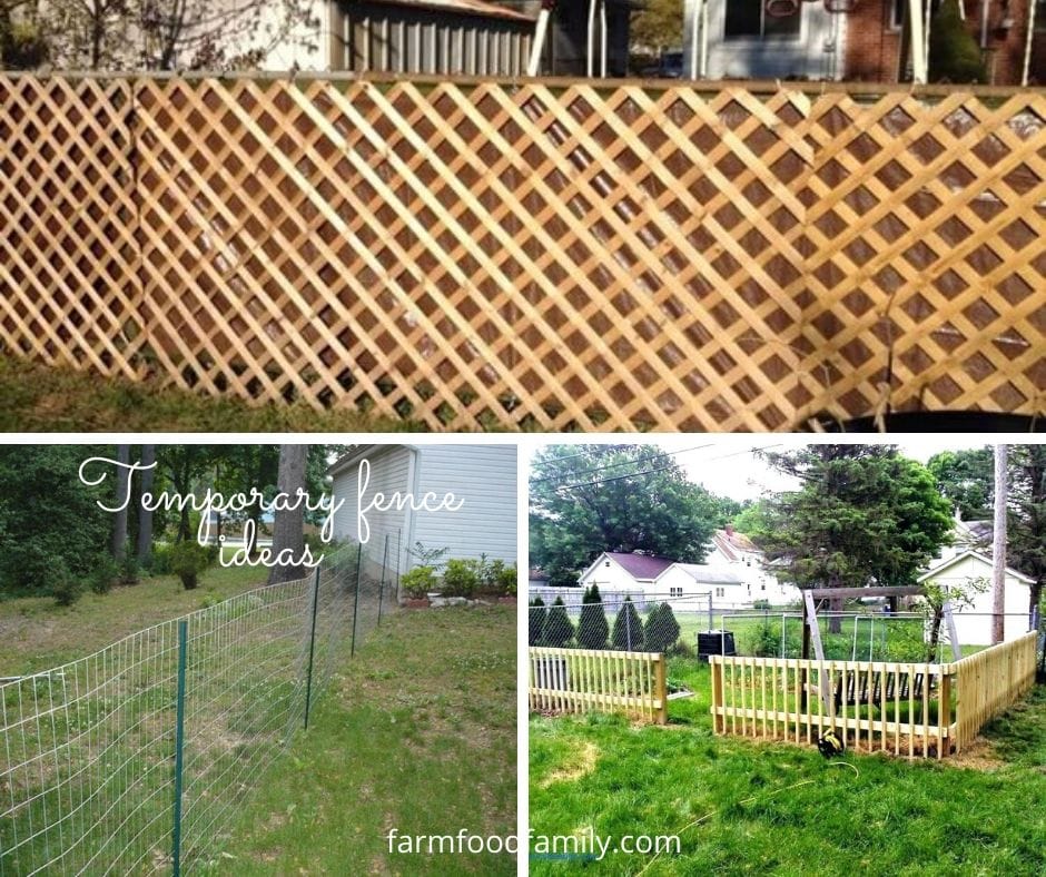 Temporary fence ideas for your backyard