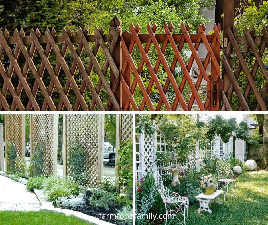 Garden trellis fence ideas and designs