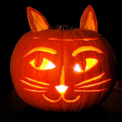 DIY Pumpkin Carving Ideas: Kitty Cat