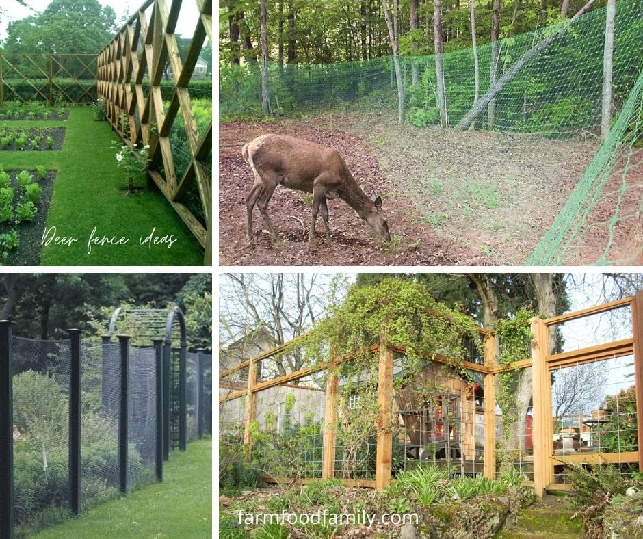 Creative and cheap deer fence ideas and designs