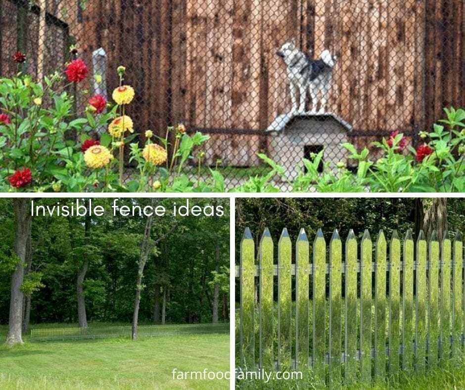 Cheap Invisible fence ideas for landscaping