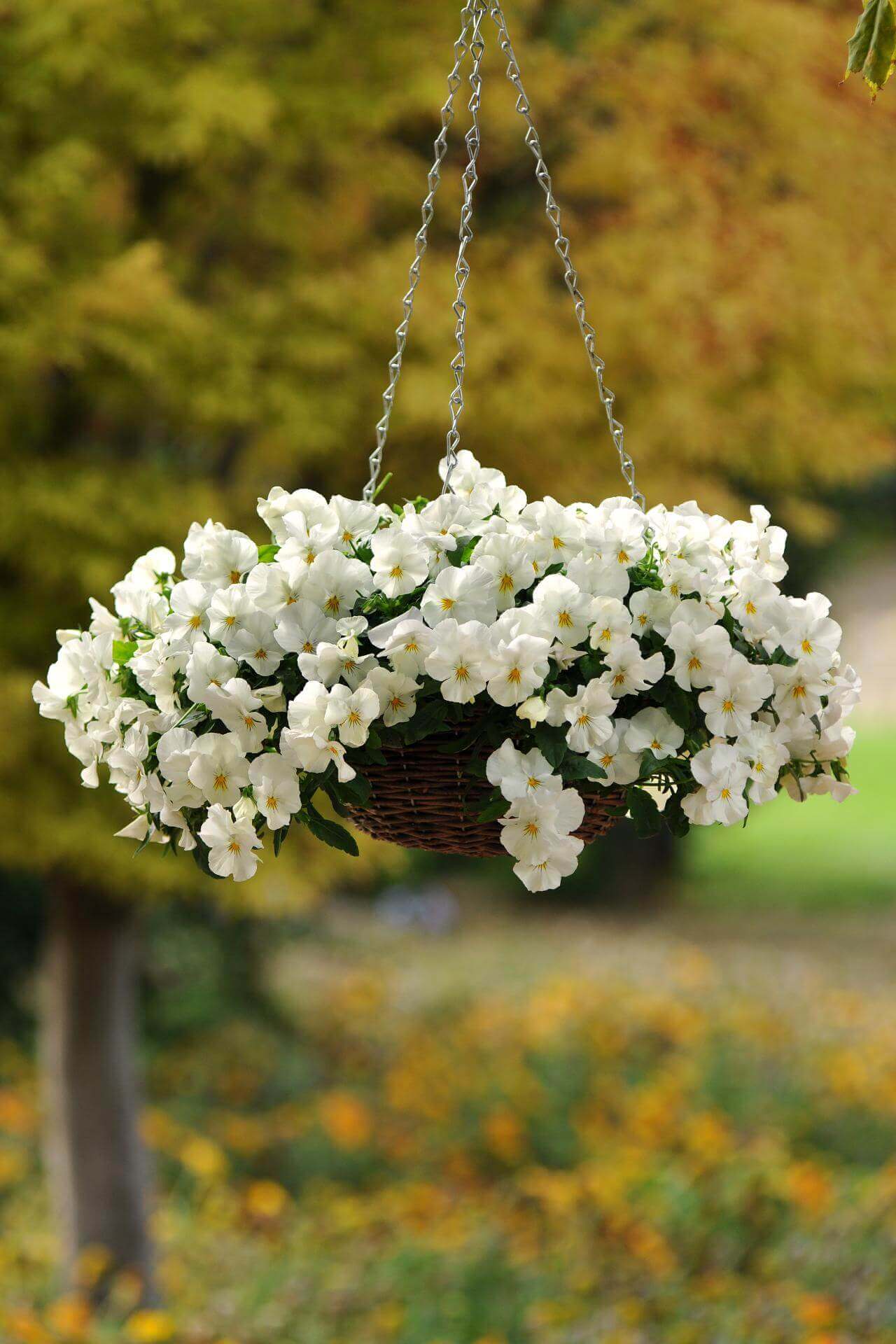 Sweetly Simple Woven Flower Basket | DIY Outdoor Hanging Planter Ideas | Plant Pot Design Ideas